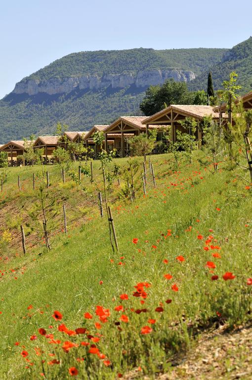 Domaine Saint Esteve Millau Bilik gambar